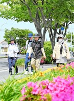 ケヤキ並木を眺めながら歩く参加者＝２６日、米子市両三柳