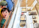 展示されている化石や岩石に興味津々の子どもたち＝６日、香美町小代区大谷の小代地域局