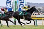 　第５９回共同通信杯を制したマスカレードボール＝東京競馬場