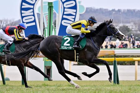 　第５９回共同通信杯を制したマスカレードボール＝東京競馬場