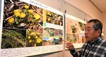 希少植物の紹介パネルが並ぶ会場