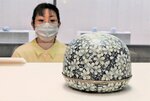 サクラの花びらで彩られた作品＝２３日、鳥取市上町の鳥取市歴史博物館やまびこ館