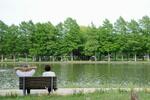 　水元公園の「小合溜」＝東京都葛飾区