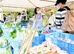 新鮮な旬の野菜を買い求める利用客ら＝２３日、香美町村岡区大糠の道の駅村岡ファームガーデン