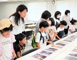 お気に入りのアートかるたを選ぶ参加者＝５日、倉吉市駄経寺町２丁目の県立美術館建設地