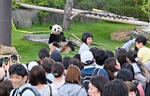 　ジャイアントパンダ「結浜」を見るため訪れた大勢の観光客＝２４日午前、和歌山県白浜町のアドベンチャーワールド