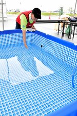 初めて導入されたアイスバスの温度や水の深さを確かめるスタッフ＝１４日、境港市竹内団地