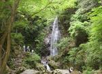　払沢の滝＝東京都檜原村