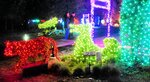 カラフルに光り輝く動物の形をしたトピアリー＝２７日、南部町のとっとり花回廊