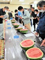 とまり美人の出来栄えを確認する関係者ら＝１５日、湯梨浜町園のＪＡ鳥取中央泊相談プラザ