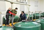 仕込み蔵を見学するラビさん（中央）と江岡さん（左）＝３１日、米子市夜見町の稲田本店