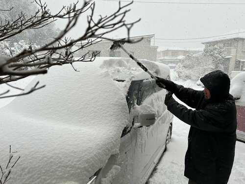 車に積もった雪を下ろす男性=午前8時半ごろ、24日鳥取市内