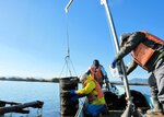 つるべ湾の養殖場から赤貝のかごを小舟に引き上げる組合員