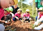ドングリの苗木に土をかぶせる園児たち