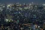 　人工光に彩られる東京の夜景