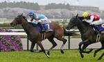 　第８５回桜花賞を制したエンブロイダリー（左）＝４月、阪神競馬場