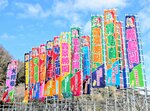 大相撲浜坂場所を前に設置されたのぼり旗＝２７日、新温泉町芦屋の国道１７８号