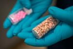 　合成麻薬フェンタニルの錠剤を持つ米麻薬取締局の職員＝４月２９日、米南部バージニア州（ＡＰ＝共同）