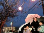 ちょうちんに照らされる桜のつぼみを眺める親子連れ