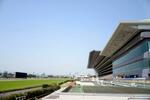　東京競馬場のコースとスタンド＝東京都府中市