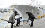 岸壁でごみを拾う参加者