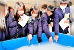 水産物を輸送するのに使うジェルアイスの感触を確かめる生徒