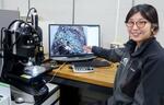 　研究成果を説明する産業技術総合研究所の松本恵子博士＝３月、茨城県つくば市