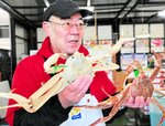 水産関係者も目を見張るほどに全身真っ白な松葉ガニ（左）＝１７日、香美町香住区香住の「かに市場」
