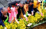 願いを込めて絵馬を川に流す子どもら＝６日、倉吉市東仲町