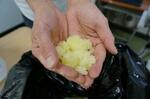 　し尿に見立てた色水を凝固剤でかけたもの＝２０２４年１１月、東京都大田区