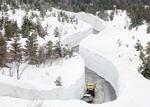 　青森市と十和田湖を結ぶ「八甲田・十和田ゴールドライン」の「雪の回廊」＝２７日午前