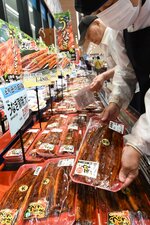  ウナギのかば焼きを並べる店員＝２４日、鳥取市宮長のマルイ宮長店 