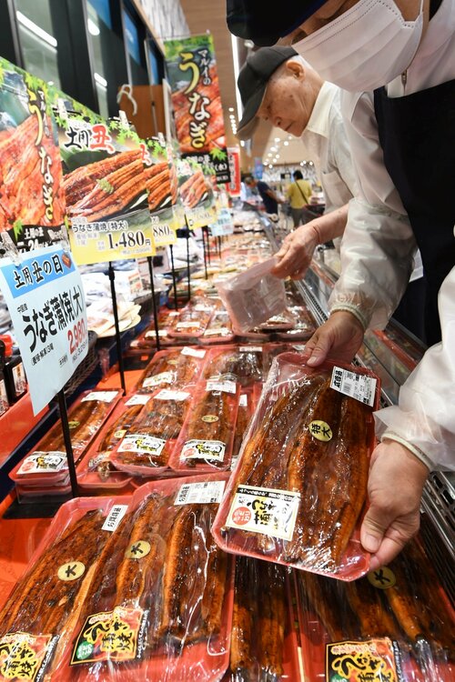  ウナギのかば焼きを並べる店員＝２４日、鳥取市宮長のマルイ宮長店 
