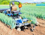 実証試験が進むトラクター用白ネギ培土機（松村精機提供）