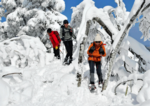 樹氷のトンネルをくぐる参加者