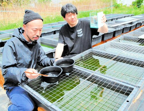 メダカの新品種を開発した石倉さん（右）。左は野田さん