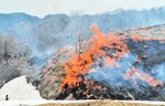 残雪があるススキ草原で一気に燃え広がる炎＝１９日、新温泉町の上山高原