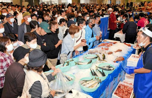 新鮮な魚を買い求める来場者＝８日、境港市昭和町の鳥取県営境港水産物地方卸売市場２号上屋