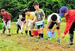 中山さん（左）と一緒にヒマワリの種をまく参加者＝２５日、八頭町内