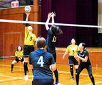 バレーボールで熱戦を繰り広げる参加者＝２日、香美町小代区実山のおじろドーム