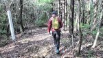 歌碑や句碑などが次々と現れる文学散歩道
