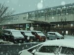 午前８時ごろの鳥取駅前