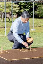 　苗代に種もみをまかれる天皇陛下＝１５日午後、皇居（宮内庁提供）