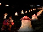 点灯された雪灯籠を見つめる子ども＝３日、智頭町智頭