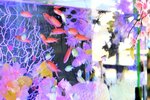 春の訪れを感じてもらおうと展示されているアカネハナゴイとデバスズメダイ