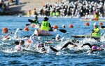 【スタート！】号砲を合図に海へ飛び込み、懸命に泳ぐ選手たち