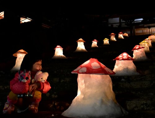 点灯された雪灯籠を見つめる子ども＝３日、智頭町智頭