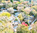 下山キャンプ場に新たに整備されたデッキサイト（環境省大山隠岐国立公園管理事務所提供）