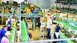 県内の各選果場では人手不足が深刻となっている＝湯梨浜町中興寺のＪＡ鳥取中央東郷梨選果場