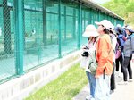 飼育員の解説を聞きながら、個体ケージで飼育されているコウノトリを見学する参加者＝４日、豊岡市祥雲寺の県立コウノトリの郷公園